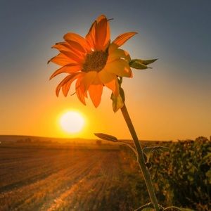 Meet your Posher, Doesnt matter